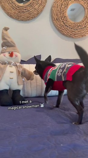 Magical Snowman ☃️ Now available on Spotify Apple Music! | Puppy Songs