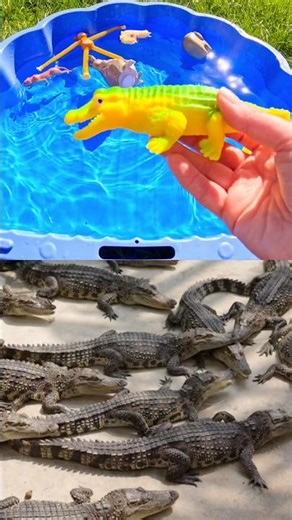 Animal Names for Kids to Learn with Toys: Kangaroo Crocodile Moose Capybara Leopard