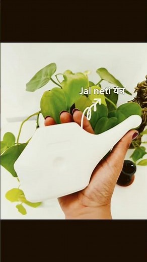 Jal neti | Nasal cleansing | Neti kriya #jalneti