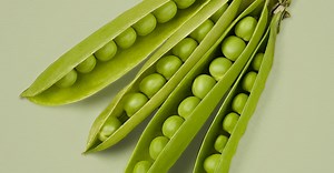 Leadership Development Programmes