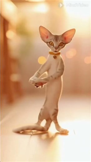 Skinny Cat Dances Like a Pro! 😂 | Funny Dancing Cat