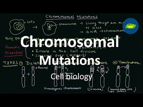 Chromosomal Mutations | Mutations | Cell Biology | Basic Science Series