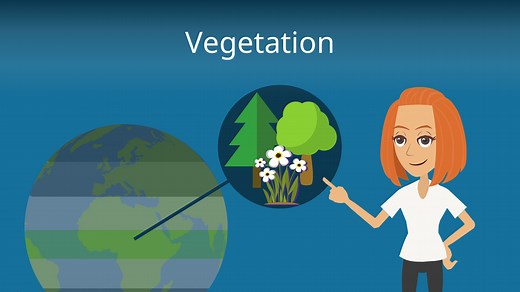 Vegetation • Definition, Konzepte und Beispiele