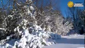 115K views · 4.8K reactions | Do nothing for two minutes. Take a minute, turn up the volume, as we take to Newton Hills State Park in eastern South Dakota, where they are getting a head start on a white Christmas. Videographer: Kevin Kjergaard. https://cbsn.ws/3FaKvxF | CBS Sunday Morning | Facebook