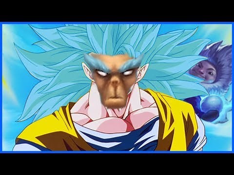 THE FULL AP NUNU EXPERIENCE