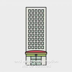 4.8K views · 11 reactions | Wanna get legal weed in Atlantic Canada? Here's what you need to know. Read more on legalization: https://bit.ly/2yl1z3q | VICE Canada | Facebook