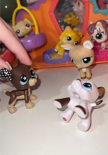 happy friday everyone #lps #littlestpetshop #fyp #foryou #lpsskit #lpsroleplay
