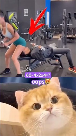 I don't think he expected it 😹😻 #funny #cat #meme #trending #shortsfeed