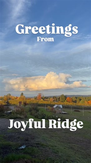 Just another postcard evening, doesn’t seem to get old | Rob Lewis