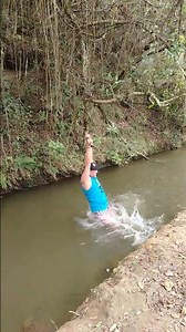 Friends Swing From Tree Branch Into Water, Laughing