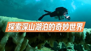 [中配]探索深山湖泊的奇妙世界 - Free High-Quality Documentaries