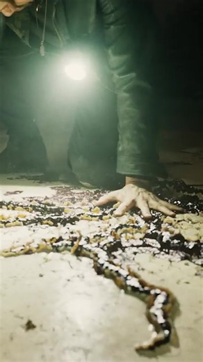 He's here... Get Tickets Now. Link in bio. | return to silent hill 2026