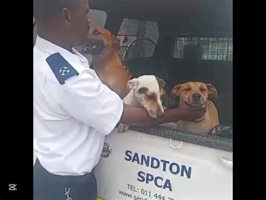 Alex Metro Butchery Closed After Dogs Found Inside Alex Metro Butchery in Alexandra has been shut down by the City of Johannesburg after inspectors discovered dogs inside the premises. Authorities also cited the butchery for failing to comply with basic health and safety regulations. The SPCA was called to remove the animals and ensure their safety. Customers and locals expressed shock at the discovery, raising concerns about hygiene and food safety. City officials warned that businesses must ad