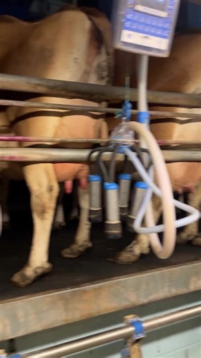 Support Local Farmers: Visit Our Farm Shop