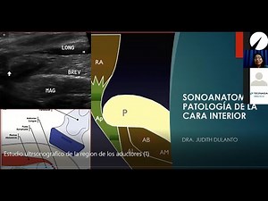 Como evaluar los aductores ultrasonido resonancia. Dra. Judith Dulanto