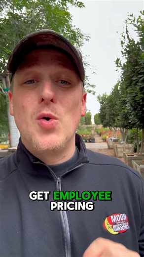 Spring is just around the corner! That means it's the perfect time to start planning what you want to plant—especially with our Early Bird Pricing, where you can save up to 60%! *Subject to availability and locations. | Moon Valley Nurseries