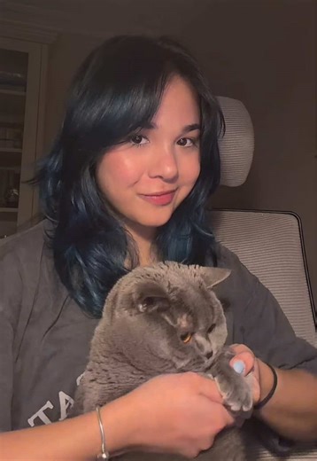 How to Bribe Your Cat: Tips for Cat Owners