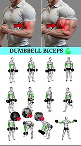 Dumbbell Bicep Workout