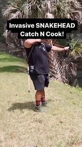 55K views · 689 reactions | It was actually pretty good! #fishing #invasivespecies #aquarium #FloridaLife #fishfacts #conservation #wildlife #oceanlife #naturelovers #exploreflorida | Rob’s Aquatics | Facebook