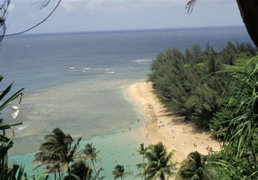 3 killed, 2 injured after helicopter crashes at Kalalau Beach in Hawaii