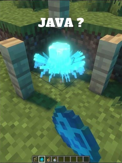 This is it #allay #minecraft #logic #gaming #no_mod #java #minecraft_java
