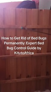 How to Get Rid of Bed Bugs Permanently: Expert Bed Bug Control Guide by KitutoAfrica Getting rid of bed bugs permanently requires early detection, correct identification, and a professional, systematic approach. Common signs such as itchy bite marks, blood stains on bedding, dark droppings on mattress seams, and live bugs hiding in furniture should never be ignored. At KitutoAfrica, we begin with a thorough inspection to determine infestation levels and hiding points, followed by targeted treatm
