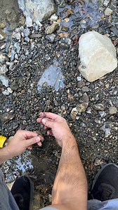 5.4K views · 66 reactions | 鱗 Metal Detector Beeped Nonstop — Look What I Found! #metaldetecting #treasuresearch #metaldetector | X Findings fans | Facebook