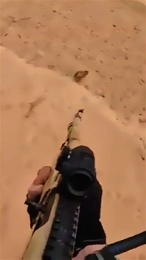 Angry Wild Hog Charged at Us | Dangerous Hunt #hoghunting #military