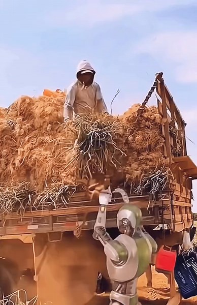 Tesla Robots: Memes, Attacks, and Optimus Robot Van in Mexico