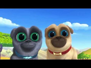 Youre My Best Friend | Music Video | Puppy Dog Pals | Disney Junior