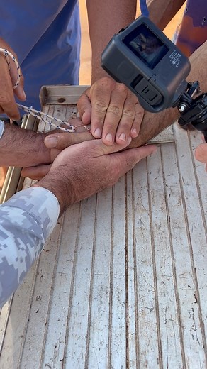 11M views · 42K reactions | We are a friendly bunch here at Anglers Choice and always willing to lend a hand. Guide Dave helping an angler in need at the ramp! (Saved him a trip to the hospital) Note: not an Anglers Choice customer! | Anglers Choice Fishing Safaris - Northern Territory | Facebook