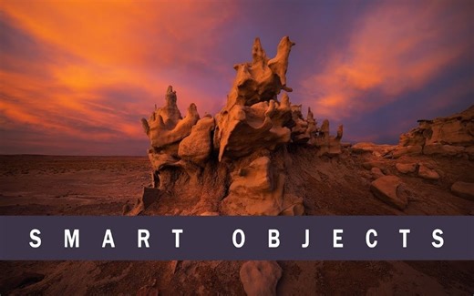 【PS】Sean Bagshaw《智能对象技术完整指南》(中英双字)