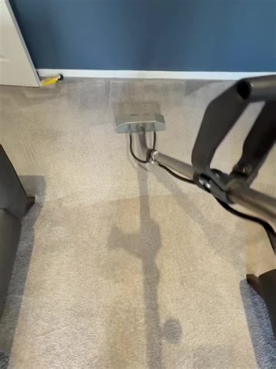 ECS Carpet Upholstery Tile and Exterior Steam Cleaning on Instagram: "✅ NO NEED TO REPLACE THOSE CARPETS WITH ECS GUARANTEED RESULTS ON EVERY STEAM CLEAN - EVERY TIME. SAVE 💰💲💶 ☀️ECS USE SPECIALIST COLOUR BRIGHTENERS AS STANDARD IN OUR PROCESS TO MAKE YOUR FABRIC AND CARPETS REALLY SHINE ☀️ 💥GUARANTEED💥RESULTS EVERY CLEAN💥 🏠 10 YEARS - 10,000 CARPETS AND 1,500 SOFAS STEAM CLEANED SO FAR 🏠 🫵 YOU CAN CHOOSE FROM 6 AMAZING SMELLING ANTIBACTERIAL FRAGRANCES TO LEAVE YOUR CARPETS, SOFAS AND