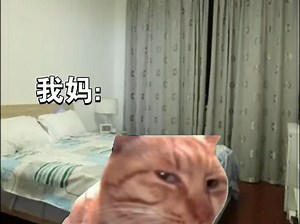 【王ghgf】最新视频已上线，快来围观！