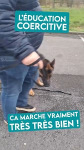 L’éducation coercitive, ça marche super bien… pour créer des chiens stressés, éteints ou explosifs.⁠ ⁠ Colliers à pics, cris, coups de laisse… Certains pensent encore qu’il faut “montrer qui est le chef” pour se faire obéir. Résultat ? Un chien qui obéit par peur, qui n’ose plus rien… ou qui finit par exploser un jour.⁠ ⁠ La vraie éducation, c’est celle qui construit une relation de confiance, pas de peur. Et spoiler : on obtient de bien meilleurs résultats, plus durables, et surtout avec un chi