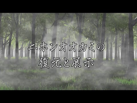 ニホンオオカミの復元と展示