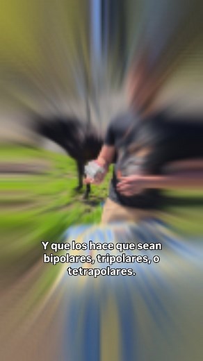 🔌⚡ Interruptores termomagnéticos en todas sus formas: unipolar, bipolar, tripolar y tetrapolar. Aunque los uses en tu casa con 220 V monofásicos, todos están preparados para 400 V de corriente alterna. Esa es la tensión de trabajo real. En el conurbano, con un caballo y la bandera de Boca de fondo, lo explicamos simple y sin vueltas: la seguridad eléctrica no se negocia. #Electricidad #Interruptores #Termomagnetico #400V #Monofasico #Trifasico #Conurbano #IngenieriaElectrica #Luisao179 | Luis B