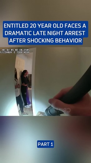 20-Year-Old's Shocking Late Night Arrest Explained