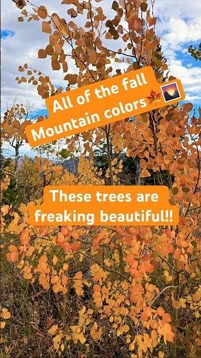 The Ultimate Cozy Fall Color Guide