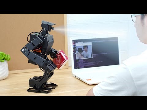 AiNex with Intelligent Vision