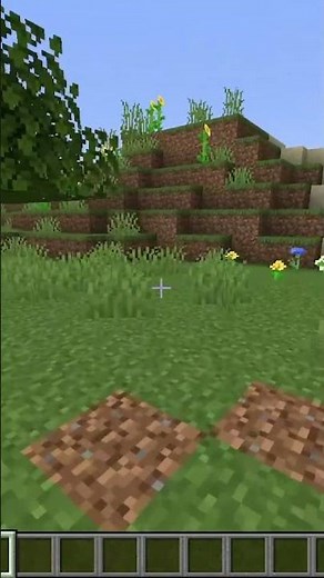 How To Walk Inside Of Minecraft