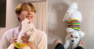 ENHYPEN's Jungwon Shares Heartwarming Video Of His First Time Meeting His Family's New Dog