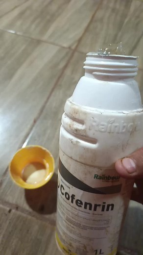 Learn Python basics for beginners