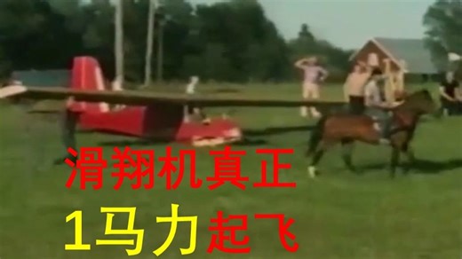 德国ULF-1跑跑飞滑翔机，空重46公斤，马拉也能起飞