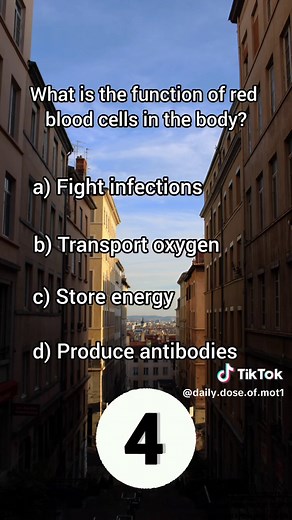 Science Quiz Bee Challenge