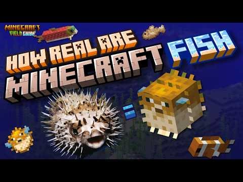 I Investigated Minecraft's Fish and Here's What I Found