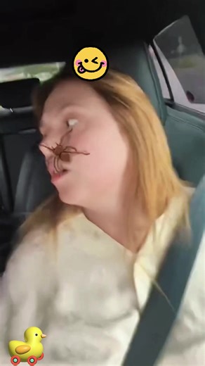 Spider Filter Prank: Watch Your Friends Get Spooked!