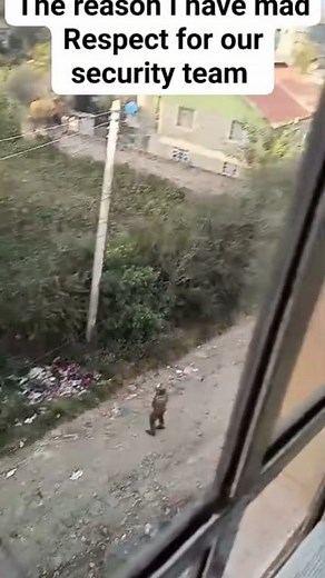 How do you fight security🥹How do reckless guys/thieves hide in the bush & Start throwing objects to the security.. #Really The risk our security team takes can't go unnoticed. The guys in the bush were throwing objects at the security. #everyoneシ゚ #Security #Love&Chose peace ✌️ Always. | Irene Njuguna