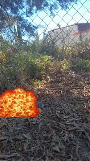 #bionicle #lego #elataquedelosclones #humor #legobionicle #memes #comedia #xd #risa