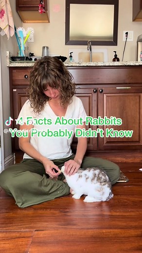 Three Interesting Rabbit Facts You Should Know